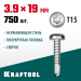 KRAFTOOL 19 х 3.9 мм, 750 шт., нержавеющие саморезы DS-P с полукруглой головкой 300931-39-019