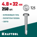 KRAFTOOL 32 х 4.8 мм, 250 шт., нержавеющие саморезы DS-P с полукруглой головкой 300931-48-032