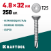 KRAFTOOL 32 х 4.8 мм, 250 шт., нержавеющие саморезы DS-C с потайной головкой 300932-48-032